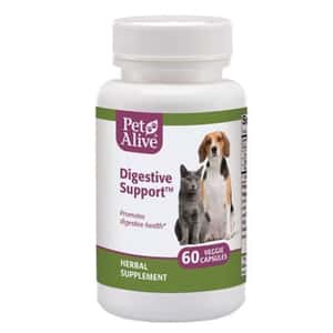貓犬用保健用品 PetAlive Digestive Support™ 維持消化系統正常 60粒 (PDIG001)