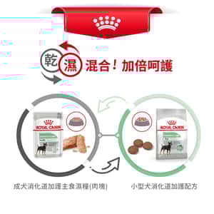 Royal Canin 狗糧 法國皇家狗糧 小型犬消化道腸胃加護配方 DGMI 8kg (2731600) (圖片7)