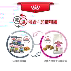 Royal Canin 貓糧 法國皇家貓糧 超級挑咀配方 EXS 4kg (2531040010) (圖片7)