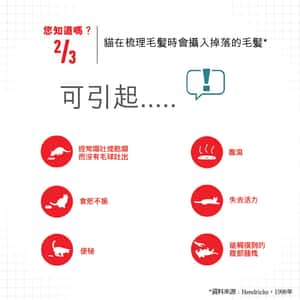 Royal Canin Dry Cat Food - Hairball Care ITH34 10kg (2534100010) (圖片8)