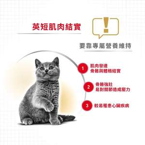 Royal Canin 貓糧 法國皇家貓糧 純種系列 英國短毛成貓專屬配方 BSH 10kg (2557100010) (圖片4)