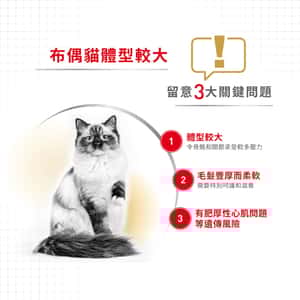 Royal Canin 貓糧 法國皇家貓糧 純種系列 布偶成貓專屬配方 RD 2kg (2515020010) (圖片3)