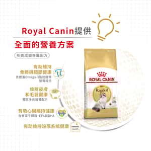 Royal Canin 貓糧 法國皇家貓糧 純種系列 布偶成貓專屬配方 RD 2kg (2515020010) (圖片4)