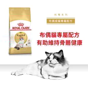 Royal Canin 貓糧 法國皇家貓糧 純種系列 布偶成貓專屬配方 RD 2kg (2515020010) (圖片6)