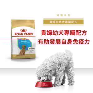 Royal Canin 狗糧 法國皇家狗糧 純種系列 貴婦狗幼犬專屬配方 貴婦幼犬糧 PDJ 3kg (2576700) (圖片3)