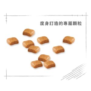 Royal Canin 狗糧 法國皇家狗糧 純種系列 貴婦狗幼犬專屬配方 貴婦幼犬糧 PDJ 3kg (2576700) (圖片6)