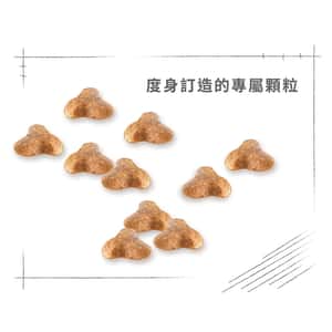 Royal Canin 狗糧 法國皇家狗糧 純種系列 八哥成犬專屬配方 PUG 1.5kg (2557000) (圖片6)