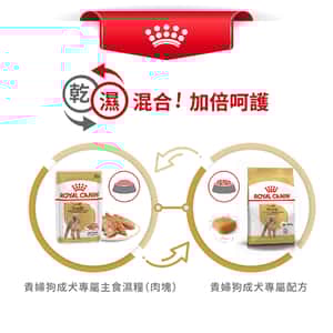 Royal Canin 狗糧 法國皇家狗糧 純種系列 貴婦狗成犬專屬配方 貴婦犬糧 PD30 7.5kg (3057075010) (圖片7)