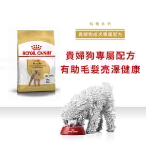Royal Canin 狗糧 法國皇家狗糧 純種系列 貴婦狗成犬專屬配方 貴婦犬糧 PD30 1.5kg (3057015010) (圖片3)