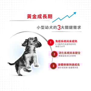 Royal Canin 狗糧 法國皇家狗糧 健康營養系列 小型幼犬營養配方 小型幼犬糧 APR33 2kg (3000020011) (圖片6)