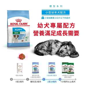 Royal Canin 狗糧 法國皇家狗糧 健康營養系列 小型幼犬營養配方 小型幼犬糧 APR33 2kg (3000020011) (圖片3)