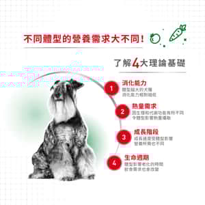 Royal Canin 狗糧 法國皇家狗糧 健康營養系列 小型成犬營養配方 小型成犬糧 PR27 2kg (圖片5)