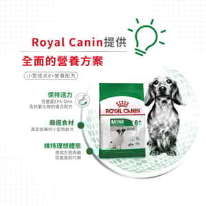 Royal Canin 狗糧 法國皇家狗糧 健康營養系列 小型成犬8+營養配方 小型老犬糧 8+ SPR27 2kg (圖片5)