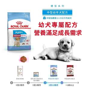 Royal Canin Dry Dog Food Medium Puppy 15kg (3003150011) (圖片6)