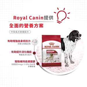 Royal Canin 狗糧 法國皇家狗糧 中型成犬營養配方 M25 4kg (圖片5)