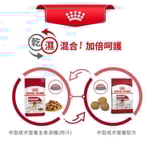Royal Canin 狗糧 法國皇家狗糧 中型成犬營養配方 M25 4kg (圖片7)