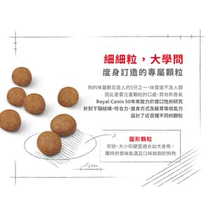Royal Canin 狗糧 法國皇家狗糧 健康營養系列 大型幼犬營養配方 大型幼犬糧 AGR32 4kg (3006040011) (圖片7)