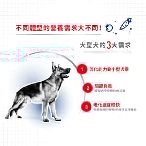 Royal Canin 狗糧 法國皇家狗糧 大型成犬營養配方 GR26 4kg (圖片4)