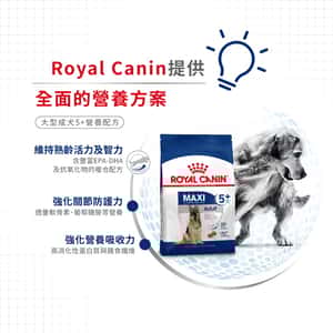 Royal Canin 狗糧 法國皇家狗糧 大型成犬5+營養配方 MAXI Adult 5+ 15kg (圖片6)