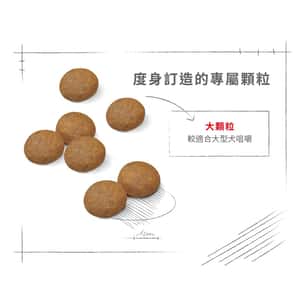 Royal Canin 狗糧 法國皇家狗糧 大型成犬5+營養配方 MAXI Adult 5+ 15kg (圖片7)