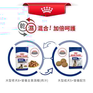 Royal Canin 狗糧 法國皇家狗糧 大型成犬5+營養配方 MAXI Adult 5+ 15kg (圖片8)