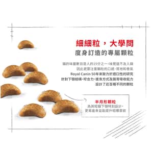Royal Canin 貓糧 法國皇家貓糧 純種系列 英國短毛幼貓專屬配方 KBSH38 10kg (2520100) (圖片5)