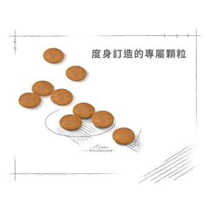 Royal Canin 狗糧 法國皇家狗糧 加護系列 小型犬皮膚舒緩加護配方 小型犬皮膚敏感專用配方 DCMI 8kg (2731000) (圖片6)