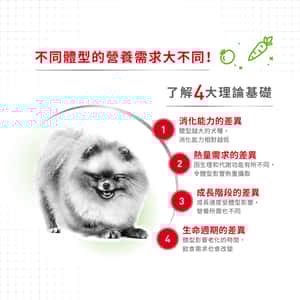 Royal Canin 狗糧 法國皇家狗糧 健康營養系列 超小型成犬營養配方 成犬超小顆粒配方 XSA 1.5kg (圖片4)