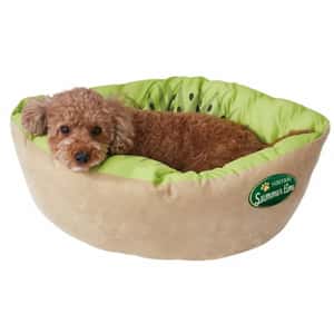 Petio 寵物床墊 冷感可手洗寵物床 奇異果 (貓狗用) -91603409 (圖片4)