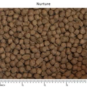 Wysong 美國威森 Original Diets 原始飲食系列 NURTURE™ 納初 38%蛋白幼貓初乳乾糧 5lb (W38) (圖片4)