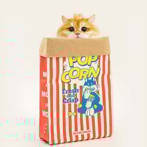 寵物床墊用品 HelloDOG 寵物床墊 玩具嚴選 貓狗解壓躲藏窩 躲貓貓爆米花 (75x35cm)