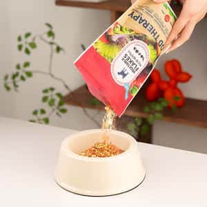 韓國Bug's Pet 超級低敏 有機蔬菜 高級蟲蛋白 拌食 全天然無添加 營養補充配方 肝臟及心臟健康 250g (紅) (圖片3)