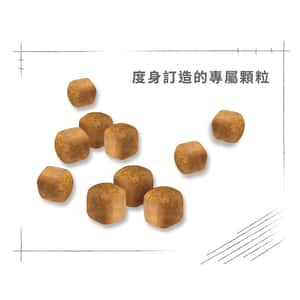 Royal Canin 貓糧 法國皇家貓糧 純種系列 緬因幼貓專屬配方 KMCO 2kg (R448637) (圖片6)