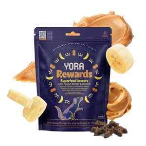 YORA 夢想家營養犬小食 花生醬配香蕉 100g (IRPB) (圖片3)