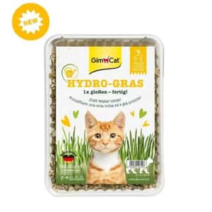木天蓼 貓草 Gim Cat (黃盒) 簡易種植貓草 150g