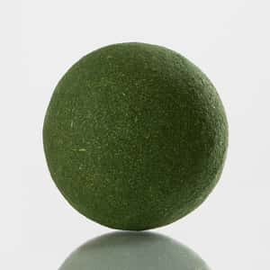 Pawfy/木天蓼-貓草/40425