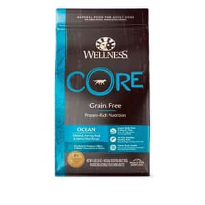 WELLNESS-Core/WELLNESS/4057