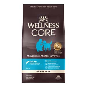 WELLNESS-Core/WELLNESS/4061