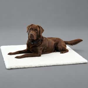 寵物床墊用品 Full Creation 人造羊毛床 thermo bed 48cm x 38cm (FC-B48AS)