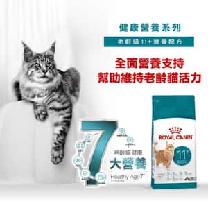 Royal Canin 貓糧 法國皇家貓糧 FHN 老齡貓11+ 營養配方 4kg (4108900) (圖片3)