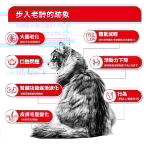 Royal Canin 法國皇家 貓濕糧 FHN 老齡貓15+ 主食濕糧 (肉汁) 85g (4200600) (圖片4)