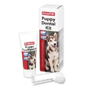 口腔護理 Beaphar 狗狗專用潔齒套裝 (手指型牙刷1支裝+幼犬牙膏25g) (停售)