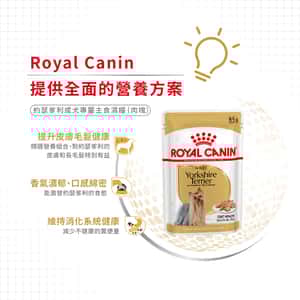 Royal Canin Wet Dog Food Yorkshire Terrier Adult Dog (Loaf) 85g (圖片5)