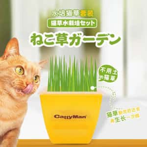 貓咪去毛球 DoggyMan 健康水培貓咪小麥草去毛球套裝