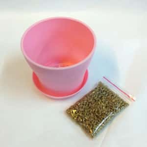 貓咪去毛球 DIY 有機高級貓草套裝 粉紅