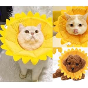 寵物用品-沒有品牌/貓犬用日常用品/8485