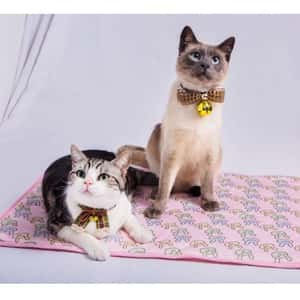 寵物用品-沒有品牌/寵物床墊用品/8532