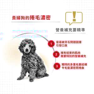 Royal Canin 狗糧 法國皇家狗糧 純種系列 貴婦狗成犬專屬配方 貴婦犬糧 PD30 3kg (3057030010) (圖片4)