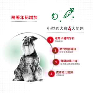 Royal Canin 狗糧 法國皇家狗糧 健康營養系列 小型老犬12+營養配方 小型老犬糧 12+ SPR12 1.5kg (圖片5)