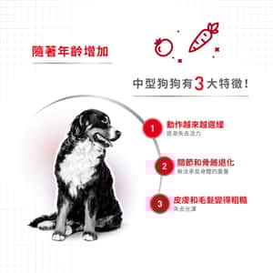Royal Canin 狗糧 法國皇家狗糧 健康營養系列 中型老犬10+營養配方 中型老犬糧 10+ 3kg (圖片4)